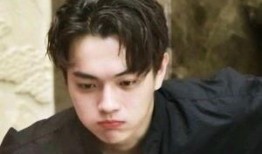 王照达爆料许凯视频,揭秘背后惊人内幕