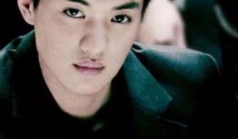 天涯爆料海岩陆毅视频,海岩陆毅视频引发热议，背后真相揭秘