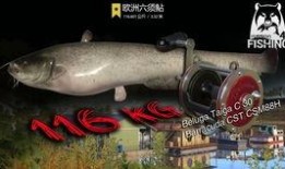 俄罗斯钓鱼4最新爆料视频,最新爆料视频深度解析