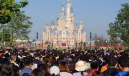 迪士尼游客爆料视频,现场实况直击，揭秘梦幻乐园背后的真实故事